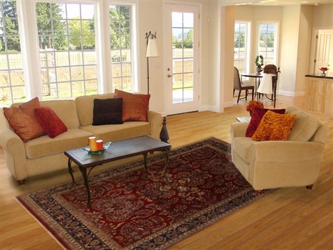 Sarouk Red Hand Knotted 82 X 100 Area Rug 250-19709 Image 4