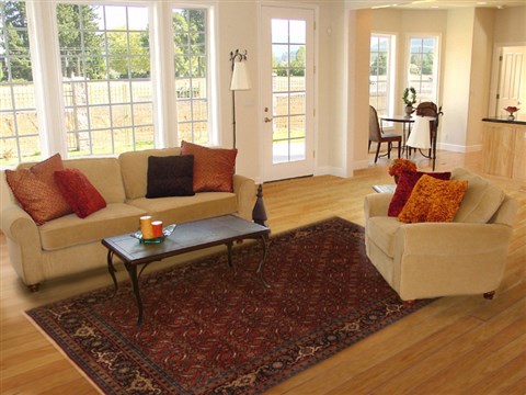 Herati Red Hand Knotted 62 X 88 Area Rug 250-19718 Image 4