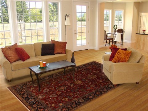 Sarouk Red Hand Knotted 62 X 811 Area Rug 250-19735 Image 4