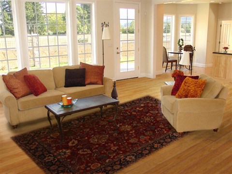 Sarouk Red Hand Knotted 511 X 88 Area Rug 250-19739 Image 4