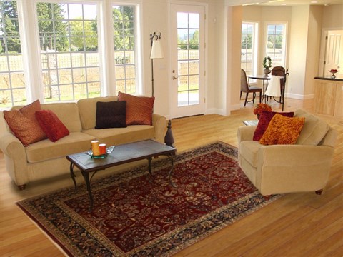 Sarouk Red Hand Knotted 63 X 91 Area Rug 250-19743 Image 4
