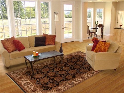 Agra Black Hand Knotted 61 X 90 Area Rug 250-19747 Image 9