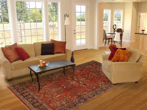 Sarouk Red Hand Knotted 61 X 91 Area Rug 250-19749 Image 4