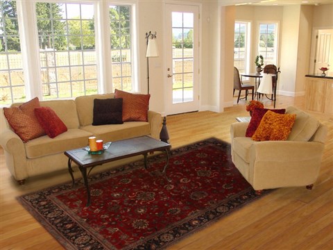 Isfahan Red Hand Knotted 511 X 87 Area Rug 250-19751 Image 4