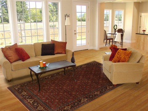 Herati Red Hand Knotted 61 X 810 Area Rug 250-19782 Image 4