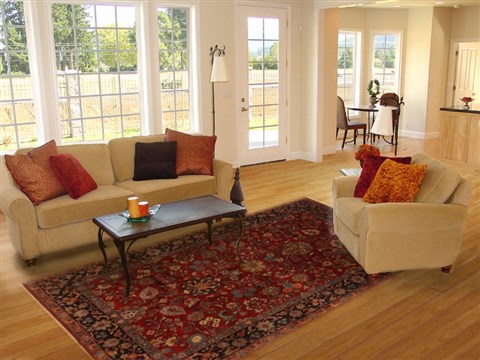 Sarouk Red Hand Knotted 60 X 90 Area Rug 250-19790 Image 4