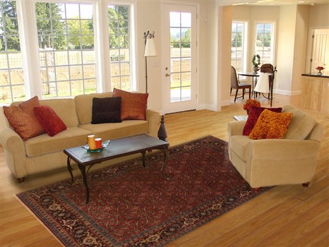 Herati Red Hand Knotted 62 X 810 Area Rug 250-19791 Image 4