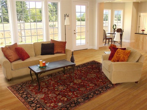 Sarouk Red Hand Knotted 60 X 810 Area Rug 250-19795 Image 4