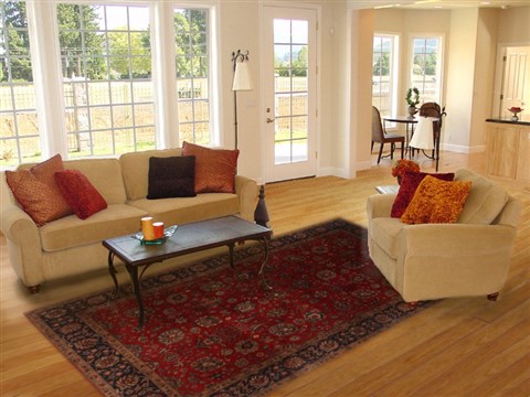 Tabriz Red Hand Knotted 60 X 92 Area Rug 250-19824 Image 4
