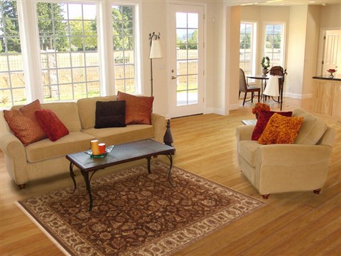 Tabriz Brown Hand Knotted 40 X 62 Area Rug 250-19849 Image 5