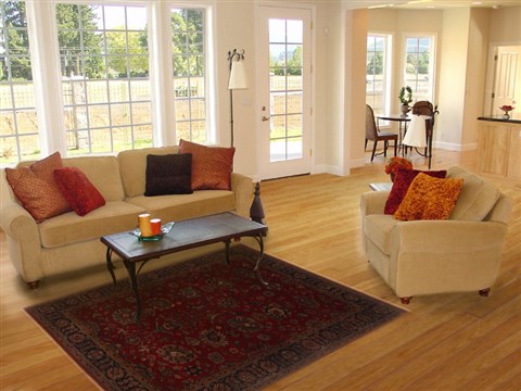 Tabriz Red Hand Knotted 41 X 60  Area Rug 250-19852 Image 5