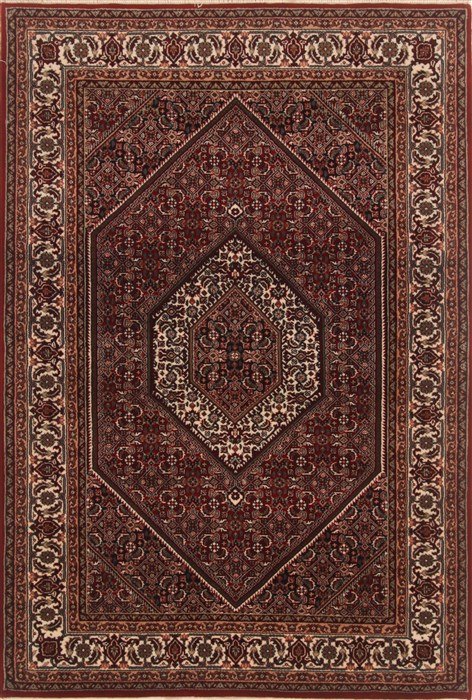 Birjand Red Hand Knotted 40 X 511 Area Rug 250-19866 Image 0