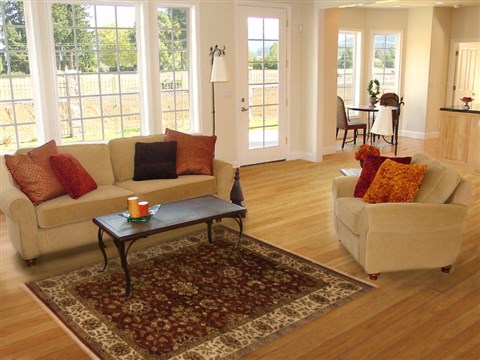 Tabriz Brown Hand Knotted 40 X 60 Area Rug 250-19875 Image 5