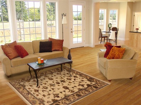 Tabriz Beige Hand Knotted 310 X 510 Area Rug 250-19891 Image 5