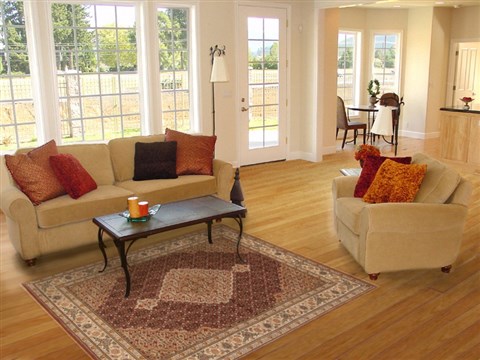 Tabriz Brown Hand Knotted 42 X 62 Area Rug 250-19898 Image 5