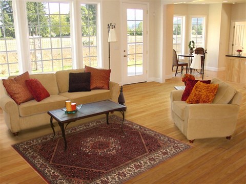 Bidjar Red Hand Knotted 310 X 61  Area Rug 250-19908 Image 5