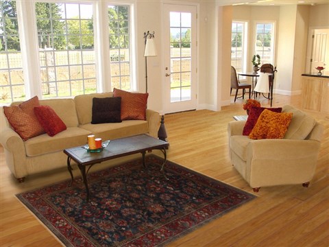 Kashmar Blue Hand Knotted 40 X 60 Area Rug 250-19909 Image 5