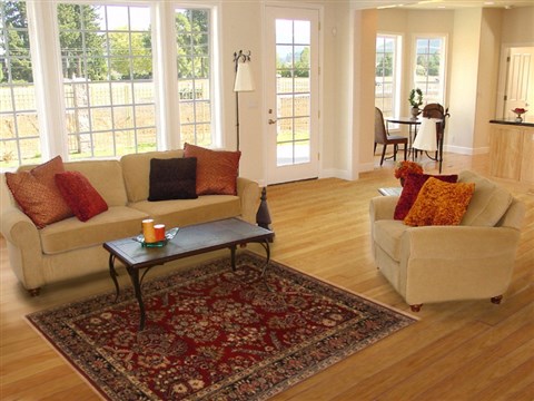 Sarouk Red Hand Knotted 41 X 60 Area Rug 250-19927 Image 5