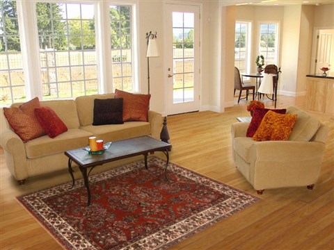 Sarouk Brown Hand Knotted 310 X 510 Area Rug 250-19930 Image 5