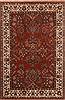 Sarouk Brown Hand Knotted 310 X 510  Area Rug 250-19930 Thumb 0