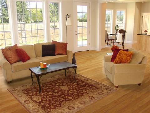 Agra Brown Hand Knotted 40 X 511 Area Rug 250-19933 Image 5