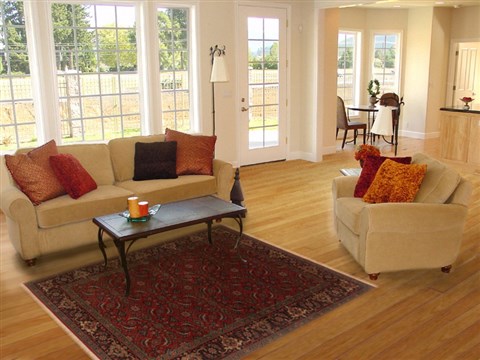 Herati Red Hand Knotted 42 X 63 Area Rug 250-19935 Image 5