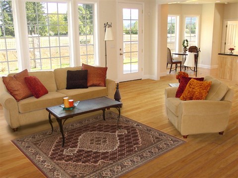 Mahal Brown Hand Knotted 40 X 61 Area Rug 250-19940 Image 5