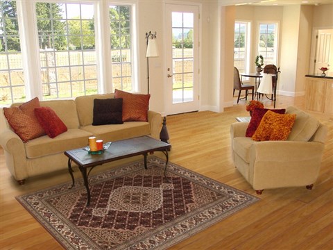 Bidjar Brown Hand Knotted 40 X 61 Area Rug 250-19944 Image 5