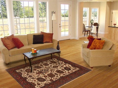 Tabriz Beige Hand Knotted 40 X 61 Area Rug 250-19954 Image 5