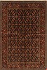 Herati Blue Hand Knotted 311 X 511  Area Rug 250-19957 Thumb 0