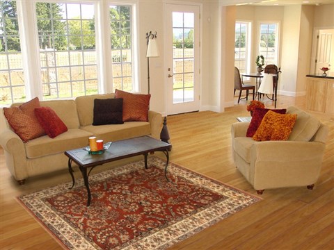 Sarouk Brown Hand Knotted 40 X 511 Area Rug 250-19959 Image 5