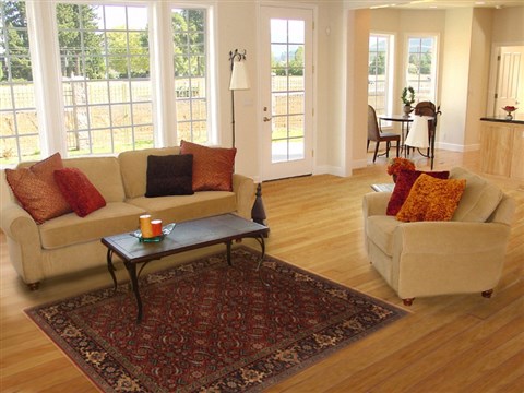 Herati Red Hand Knotted 41 X 60 Area Rug 250-19963 Image 5