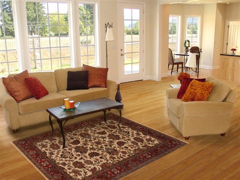 Kashmar White Hand Knotted 40 X 60 Area Rug 250-19974 Image 5