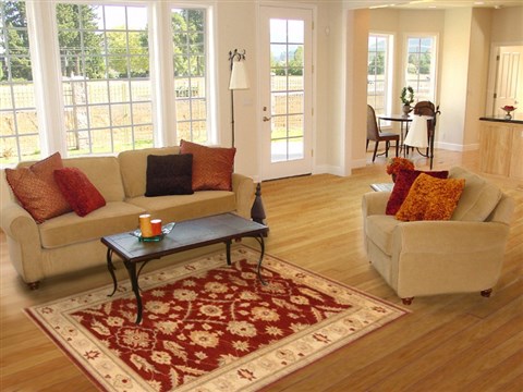 Pishavar Red Hand Knotted 40 X 58 Area Rug 250-19989 Image 5