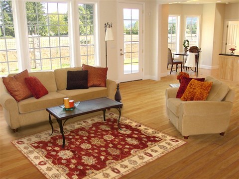 Ziegler Red Hand Knotted 40 X 511  Area Rug 250-19993 Image 5