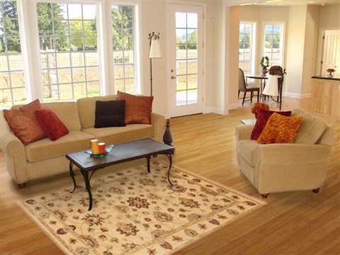Ziegler Beige Hand Knotted 41 X 61  Area Rug 250-20024 Image 5