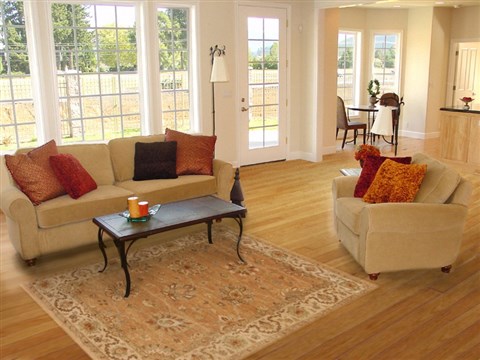 Ziegler Brown Hand Knotted 41 X 59  Area Rug 250-20030 Image 5