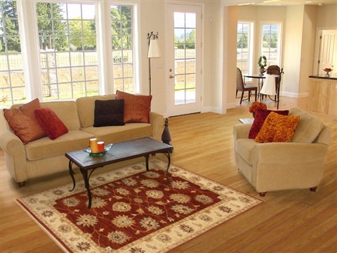 Ziegler Brown Hand Knotted 41 X 63 Area Rug 250-20043 Image 5