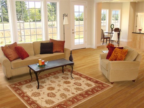 Ziegler Beige Hand Knotted 40 X 60 Area Rug 250-20044 Image 5