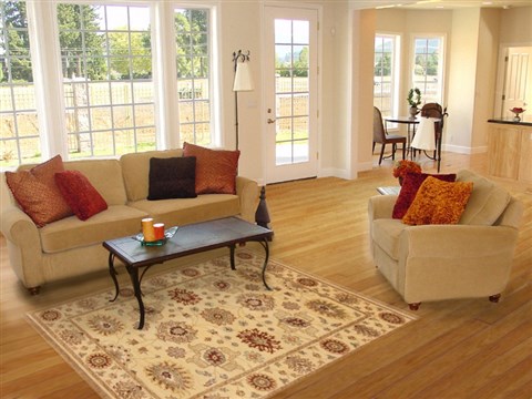 Ziegler Beige Hand Knotted 40 X 60 Area Rug 250-20054 Image 5