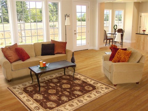 Ziegler Brown Hand Knotted 40 X 60 Area Rug 250-20073 Image 5