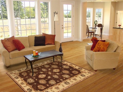 Ziegler Brown Hand Knotted 40 X 62 Area Rug 250-20081 Image 5