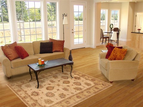 Ziegler Beige Hand Knotted 40 X 62 Area Rug 250-20086 Image 5