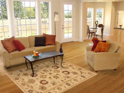 Ziegler Beige Hand Knotted 41 X 60 Area Rug 250-20091 Image 5