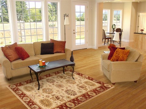 Ziegler Beige Hand Knotted 40 X 60 Area Rug 250-20094 Image 5