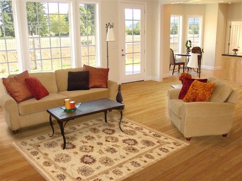 Ziegler Beige Hand Knotted 41 X 61  Area Rug 250-20097 Image 5