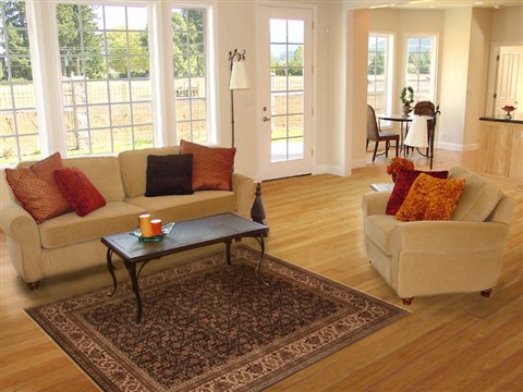 Herati Black Hand Knotted 50 X 71 Area Rug 250-20100 Image 5
