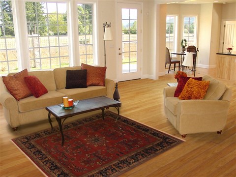 Sarouk Red Hand Knotted 50 X 68 Area Rug 250-20104 Image 5