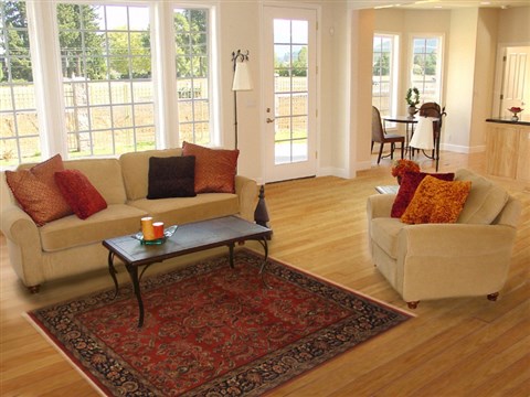 Sarouk Red Hand Knotted 411 X 69 Area Rug 250-20105 Image 5
