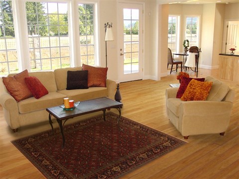 Herati Red Hand Knotted 411 X 74 Area Rug 250-20109 Image 5